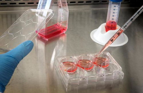 奧浦邁回應(yīng)監(jiān)管問(wèn)詢(xún)，深入解讀產(chǎn)品競(jìng)爭(zhēng)格局與技術(shù)地位